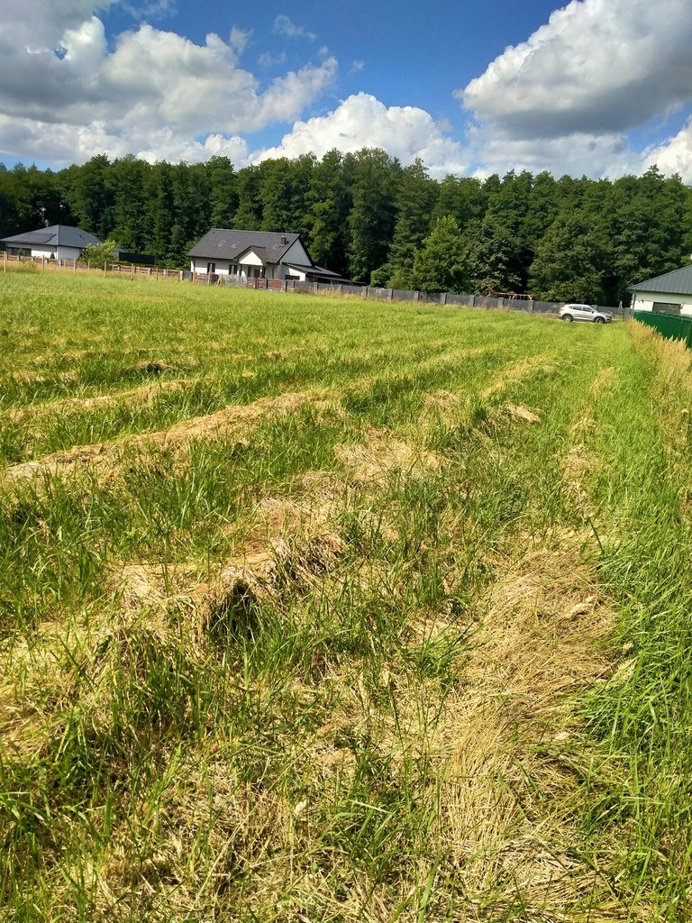 Działka 3179m2,obr.Grzepnica,gm.Dobra, las,media