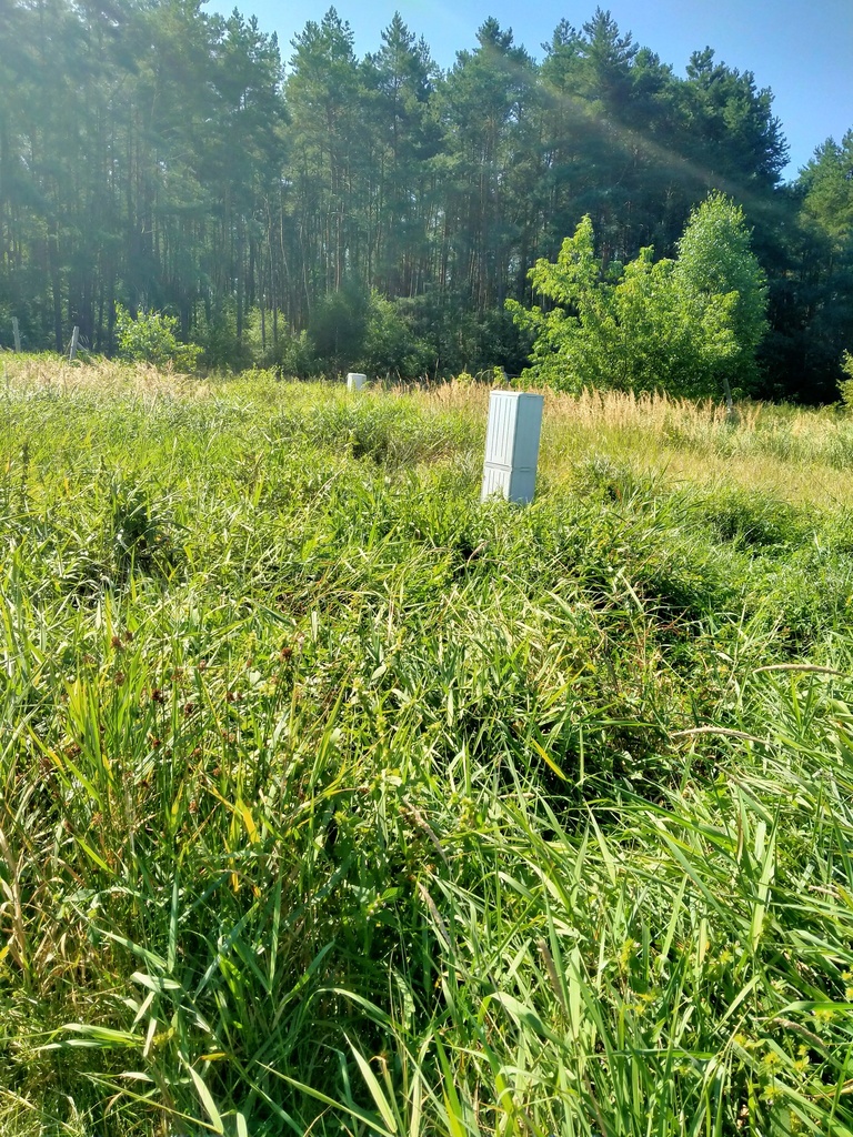 Działka Wołczkowo 1063 m2,las