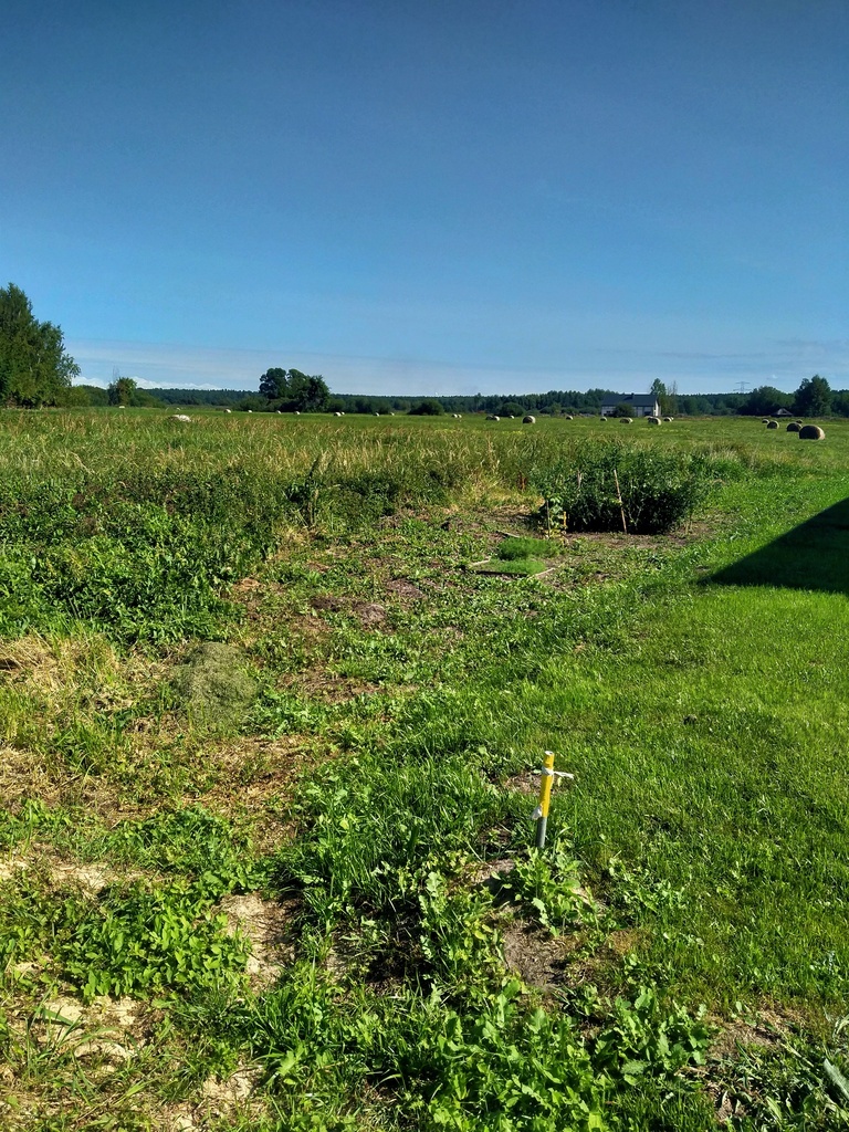 Działka Wołczkowo 1063 m2,las