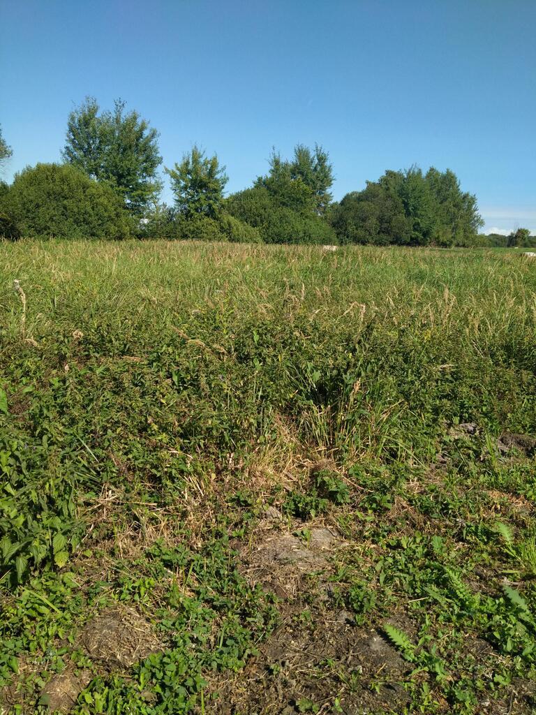 Działka Wołczkowo 1063 m2,las