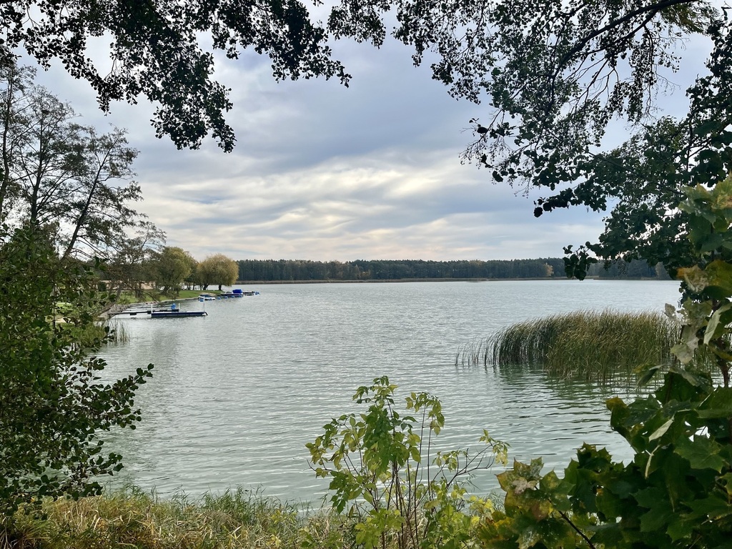 Działka -Nowa Wieś Zbąska (82 PLN/mkw.)