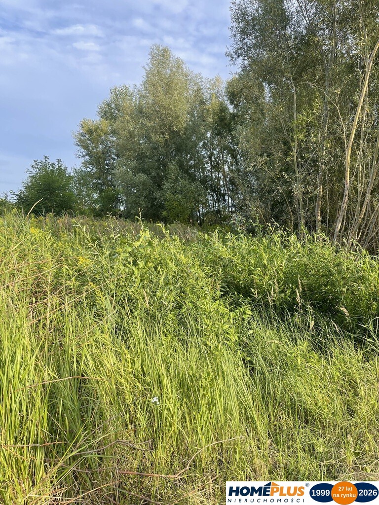 Działka budowlana 2136 m² – Dąbrówka.