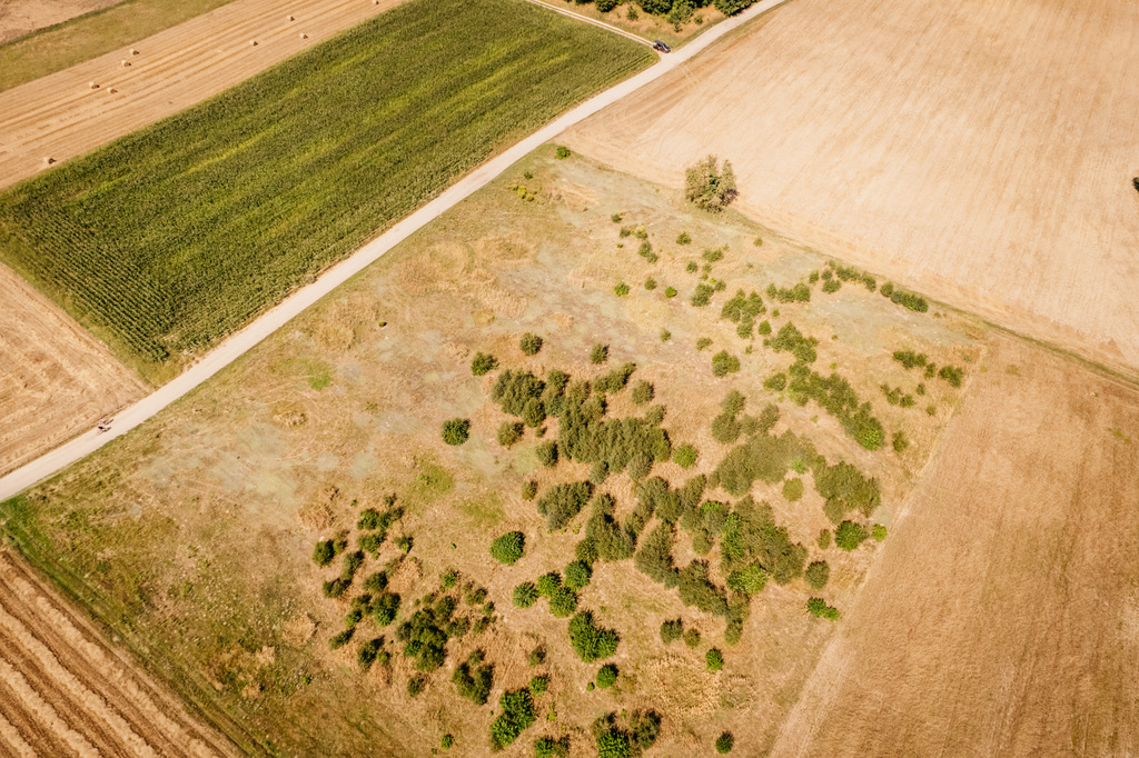 Działka rolna w gminie Opatówek