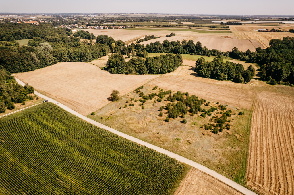 Działka rolna w gminie Opatówek
