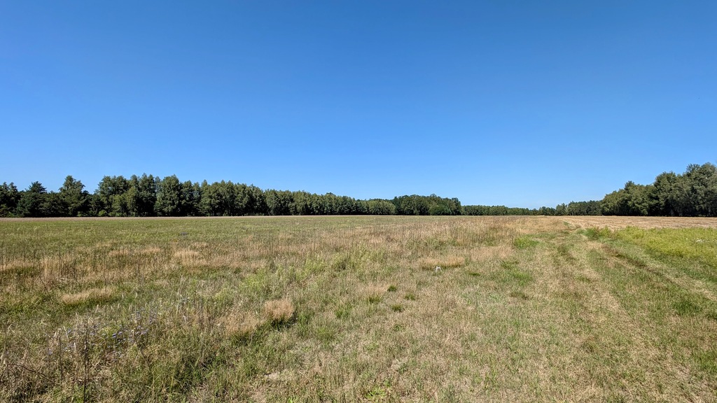 Rola z możliwością zabudowy - Grabostów, gm. Zelów