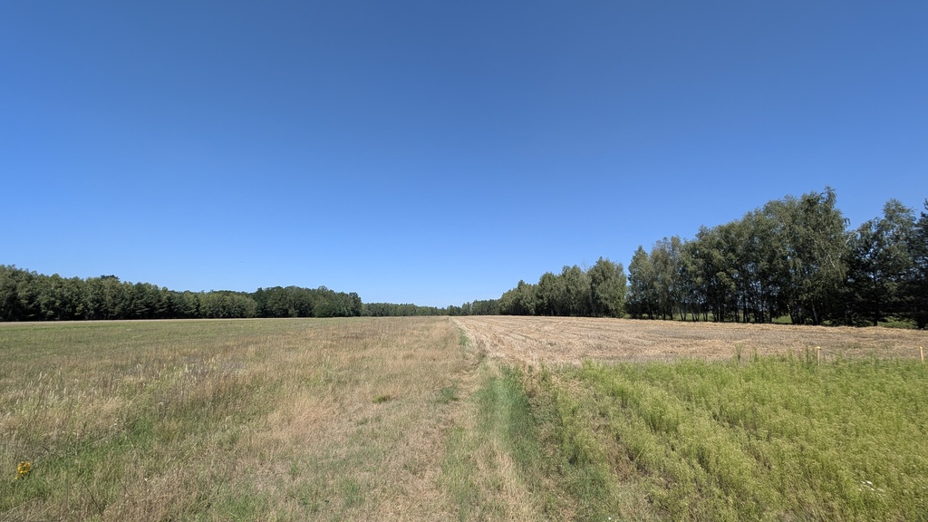 Rola z możliwością zabudowy - Grabostów, gm. Zelów