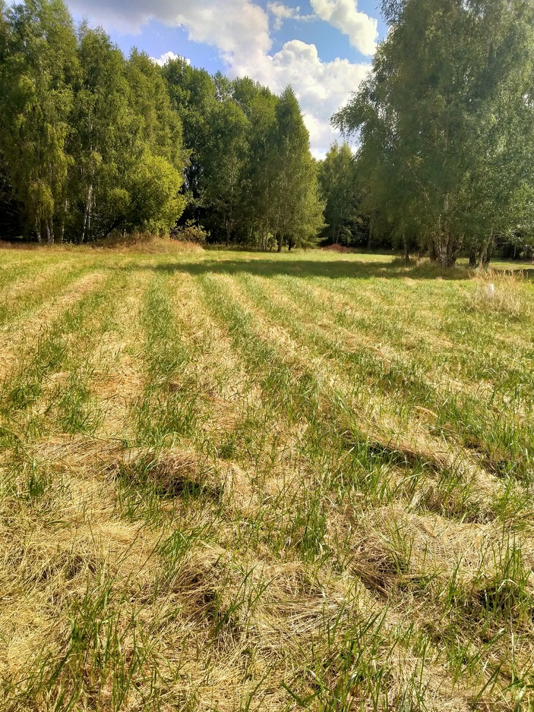 Działka 3179m2,obr.Grzepnica,gm.Dobra, las,media
