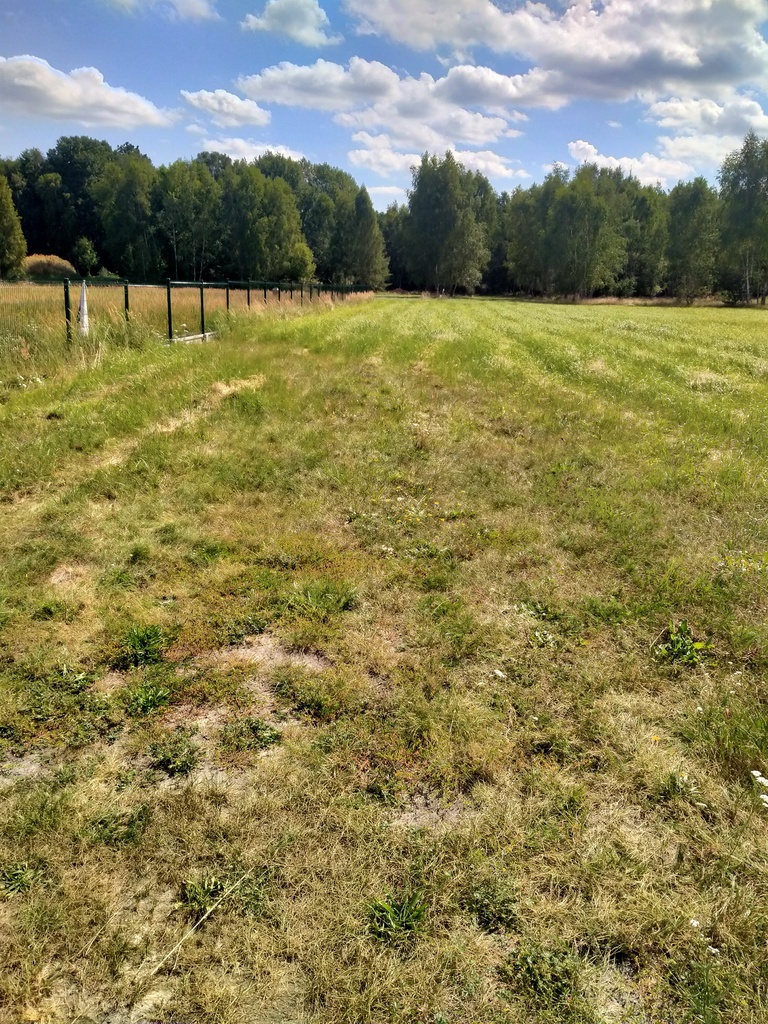 Działka 3179m2,obr.Grzepnica,gm.Dobra, las,media