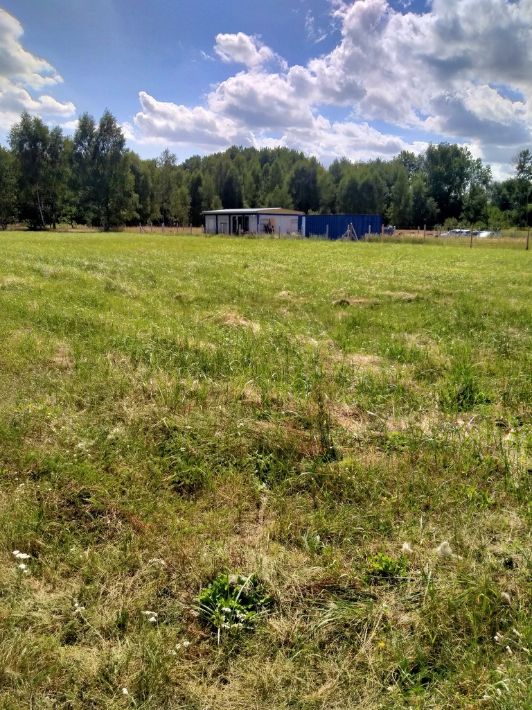 Działka 3179m2,obr.Grzepnica,gm.Dobra, las,media