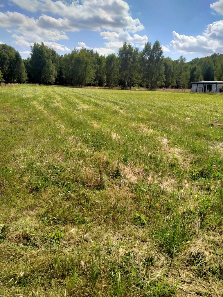 Działka 3179m2,obr.Grzepnica,gm.Dobra, las,media