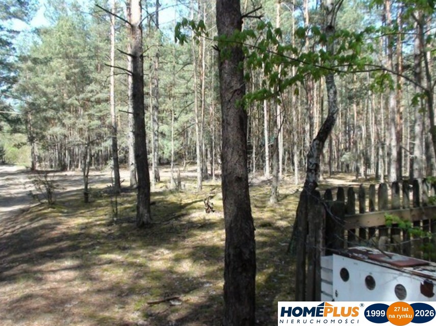 Zbuduj dom w lesie – działka 1850 m².