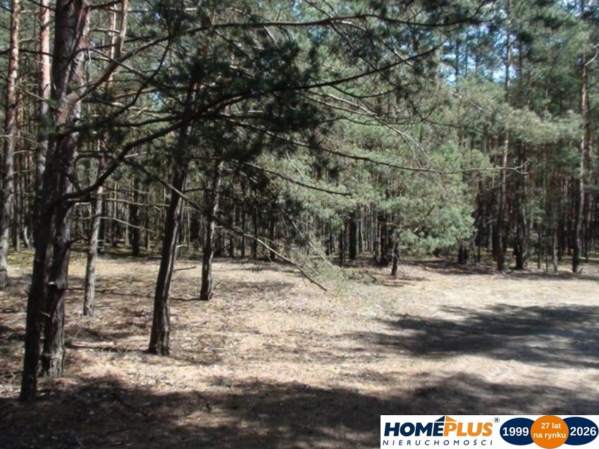 Zbuduj dom w lesie – działka 1850 m².