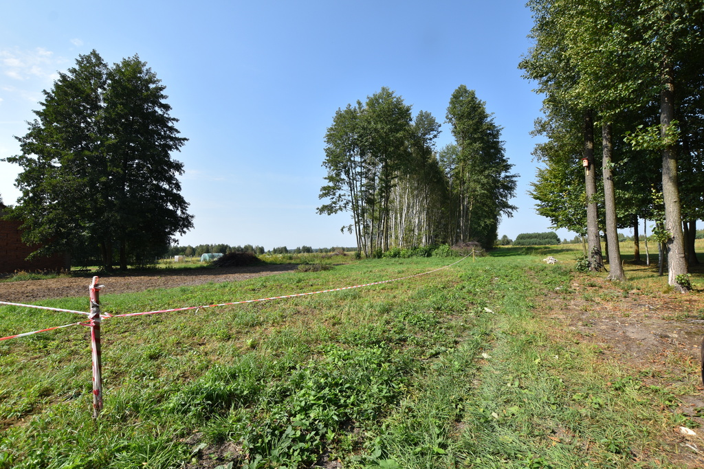 Dwie działki z WZ - Kąty Trzebuskie