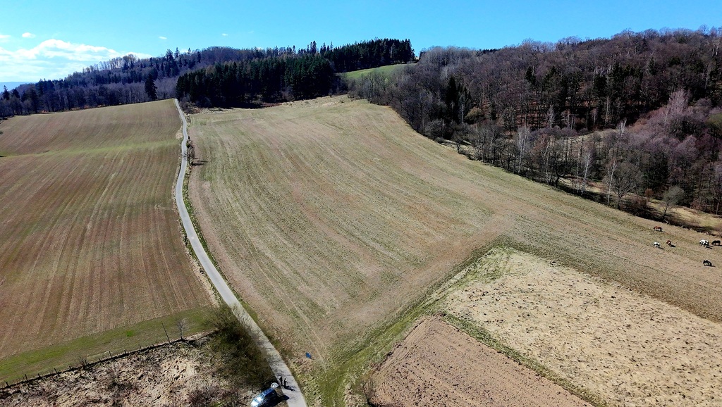 Pięknie położone działki w Rogówku koło Kłodzka