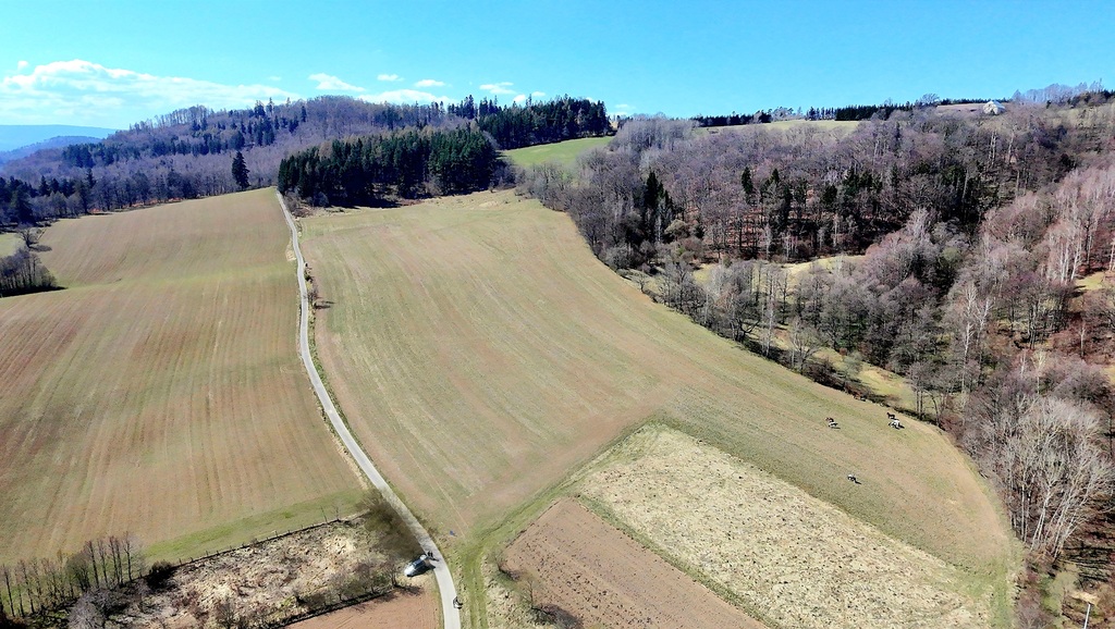 Pięknie położone działki w Rogówku koło Kłodzka