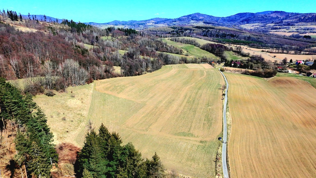 Pięknie położone działki w Rogówku koło Kłodzka