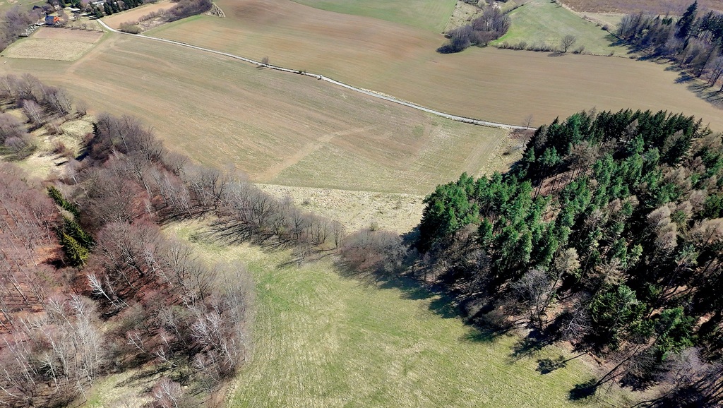 Pięknie położone działki w Rogówku koło Kłodzka