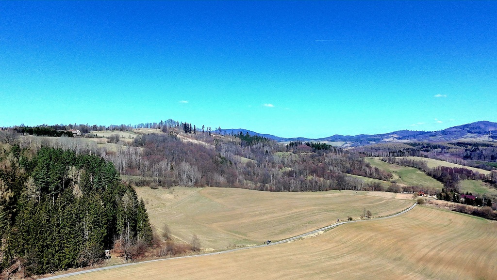Pięknie położone działki w Rogówku koło Kłodzka