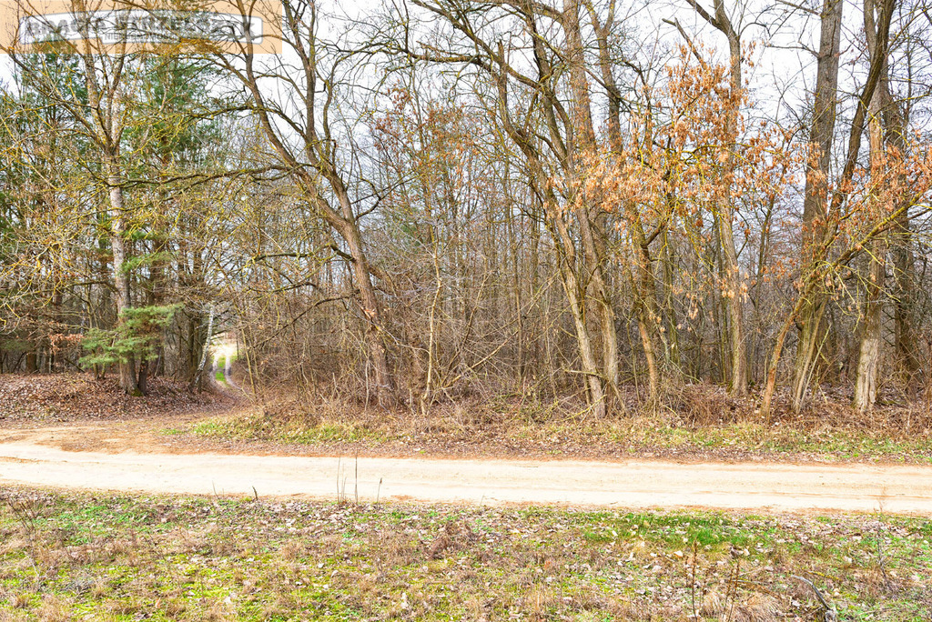 Działka 2.71 ha Puszcza Biała Zambski Kościelne