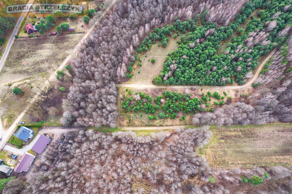 Działka 2.71 ha Puszcza Biała Zambski Kościelne