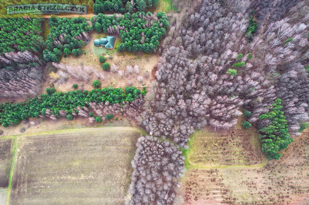 Działka 2.71 ha Puszcza Biała Zambski Kościelne