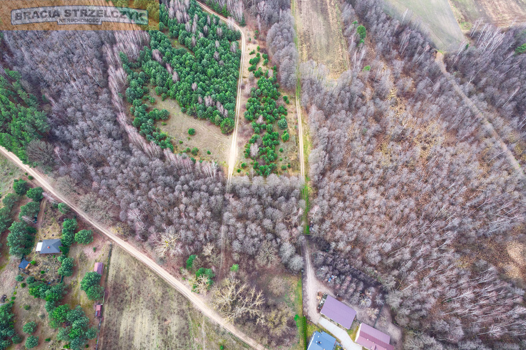 Działka 2.71 ha Puszcza Biała Zambski Kościelne