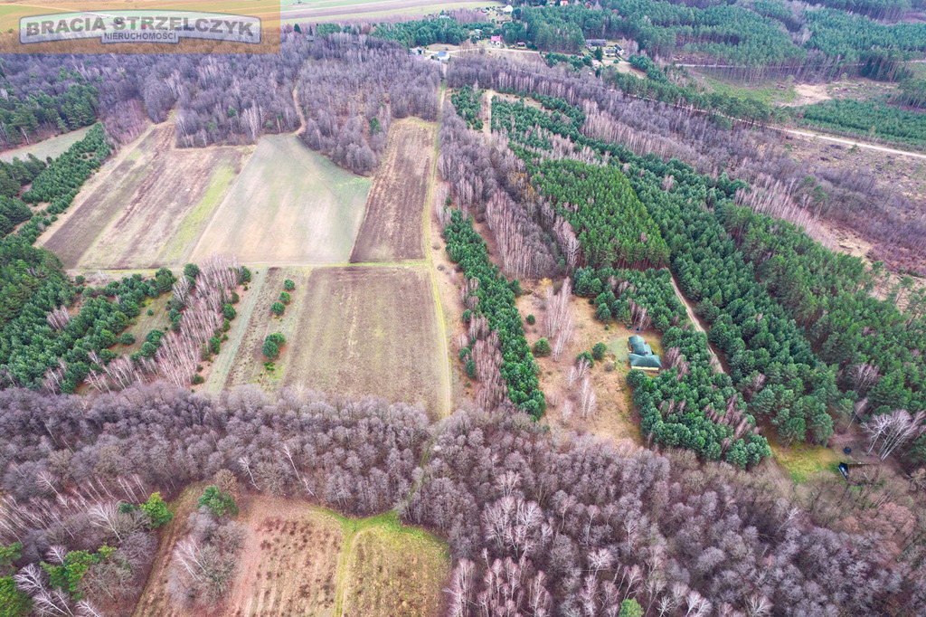 Działka 2.71 ha Puszcza Biała Zambski Kościelne