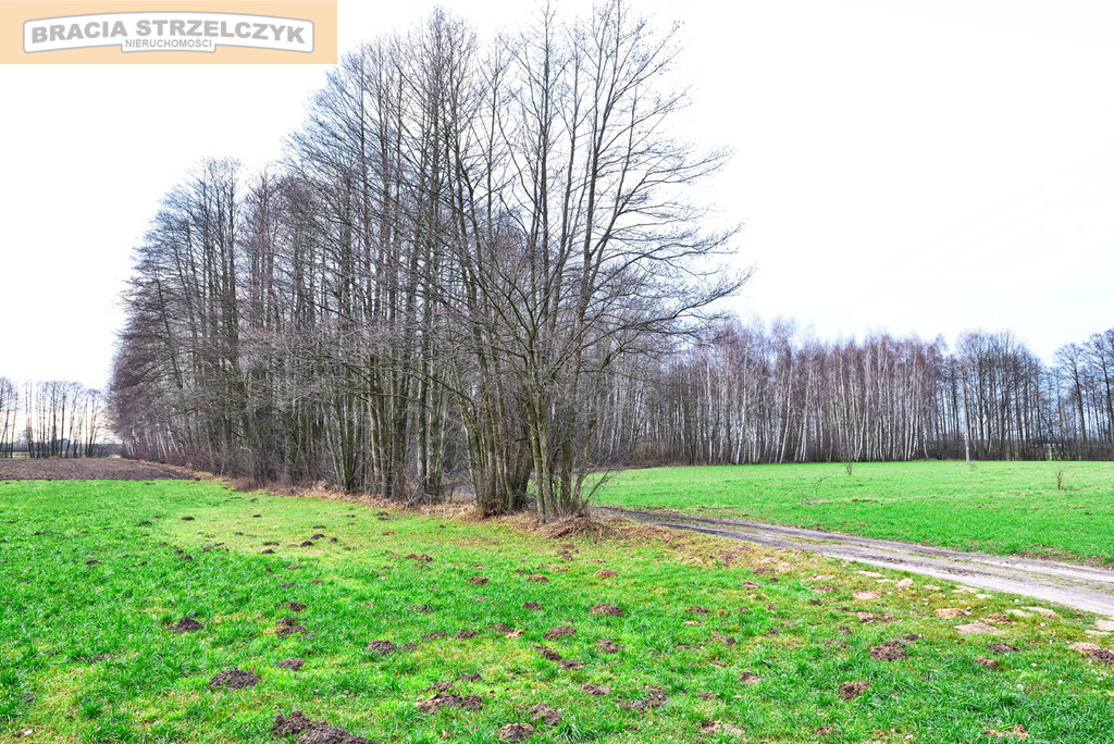 Działka 16900 m2 Zambski Stare