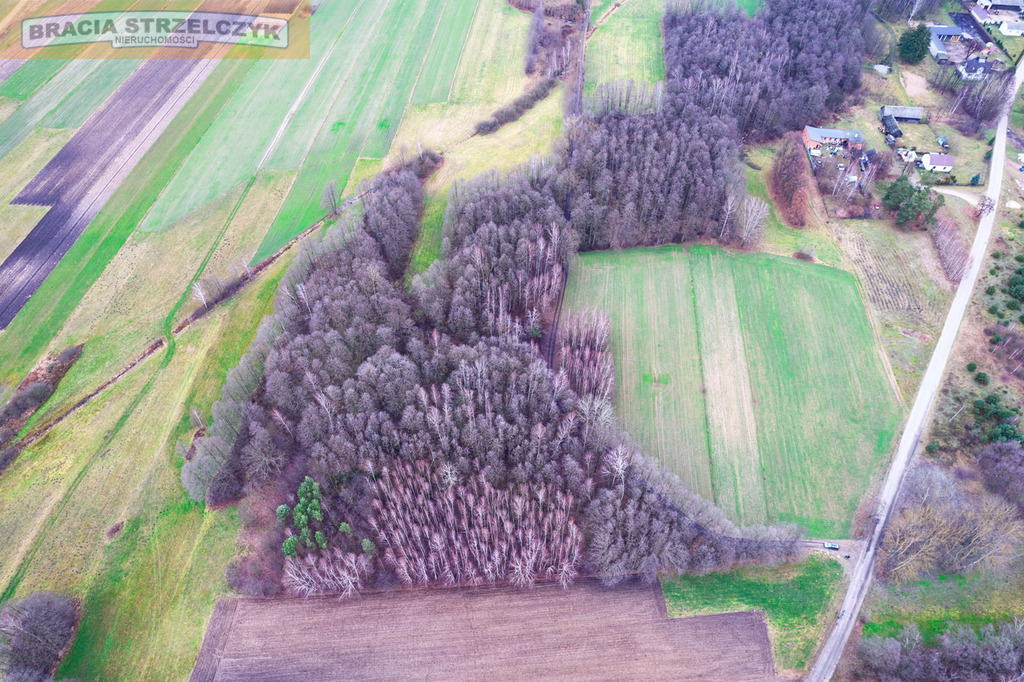 Działka 16900 m2 Zambski Stare