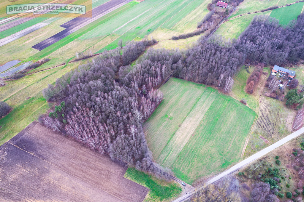 Działka 16900 m2 Zambski Stare