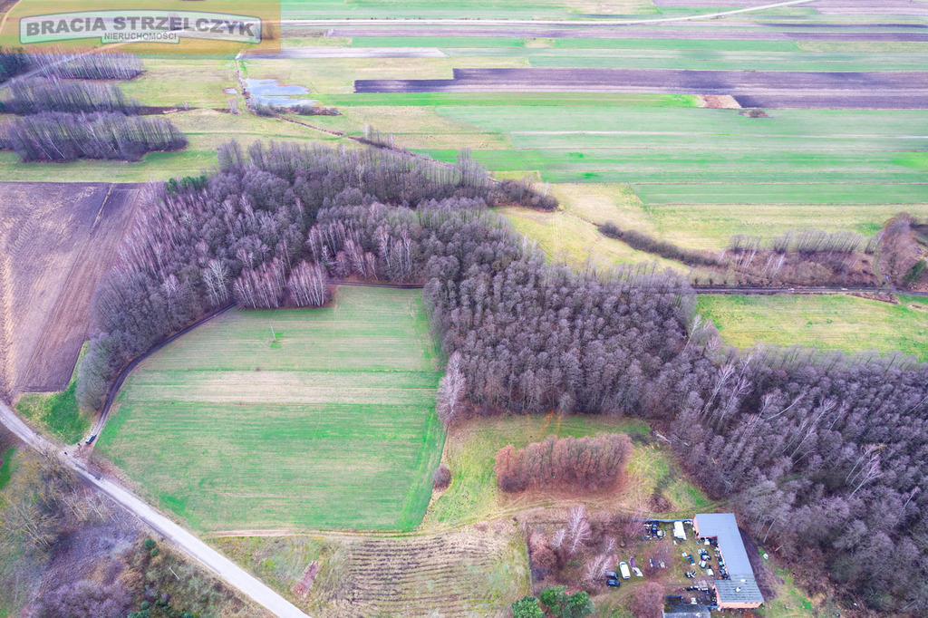 Działka 16900 m2 Zambski Stare