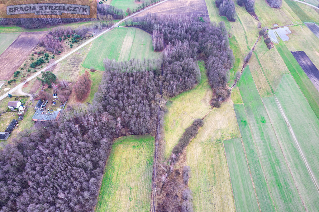 Działka 16900 m2 Zambski Stare