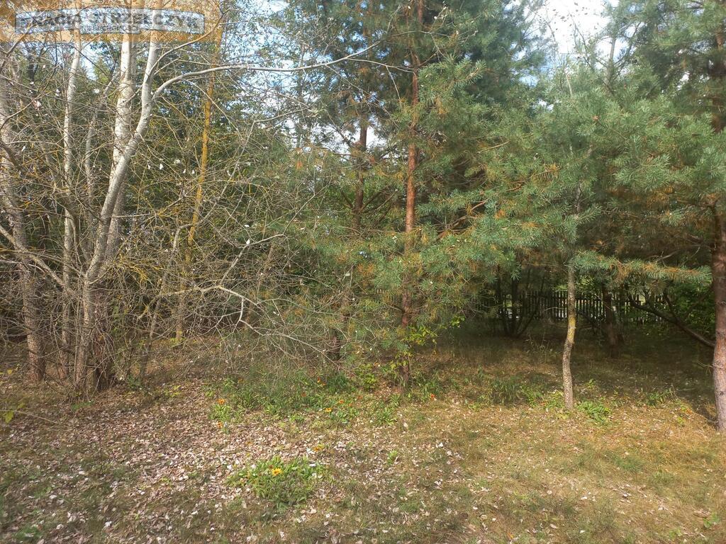 Działka 2500 m2 nad Narwią Zambski Kościelne