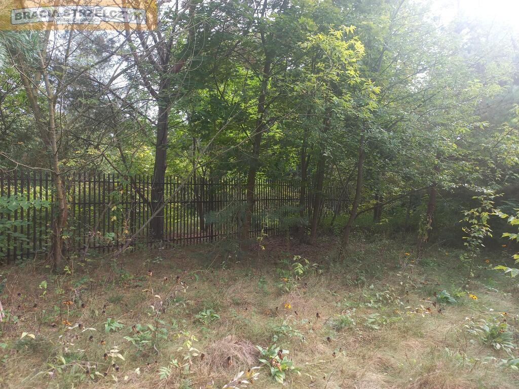 Działka 2500 m2 nad Narwią Zambski Kościelne