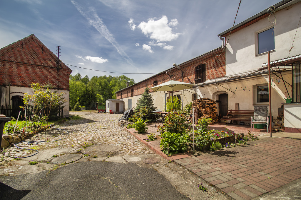 Dom z dużą działką – idealne miejsce do realizacji