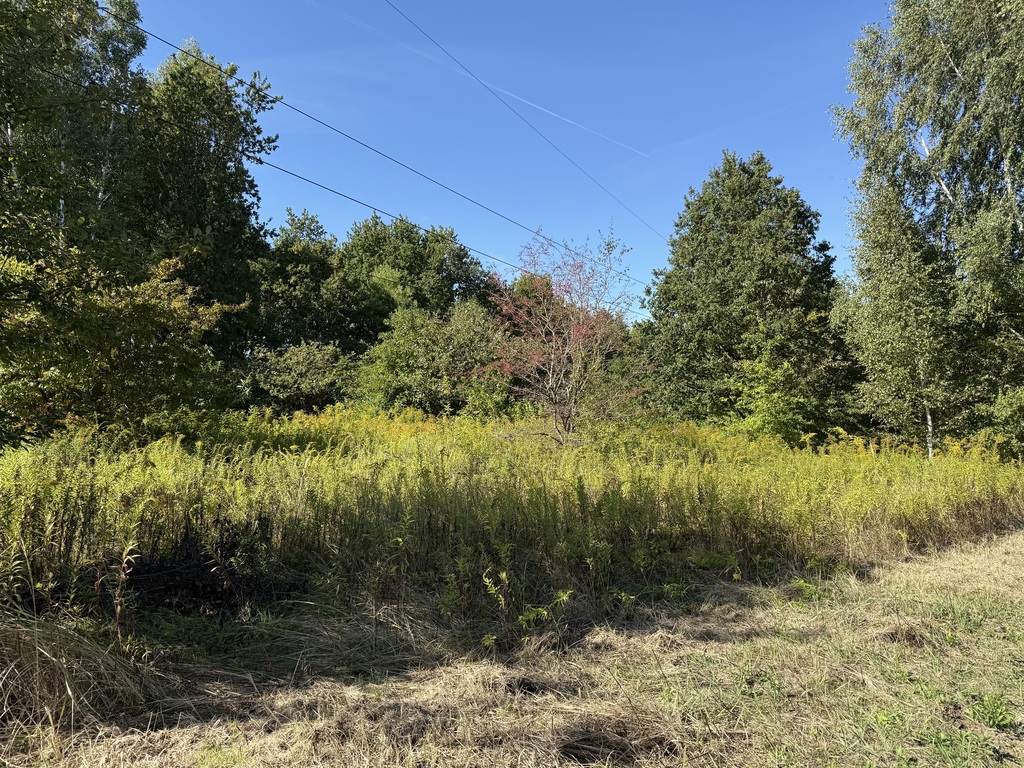 Działka budowlano-usługowa, 1274m², Starowa Góra