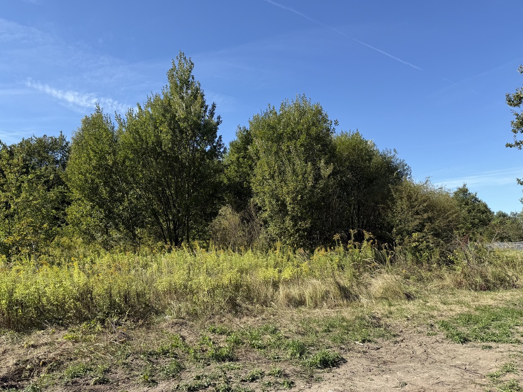 Działka budowlano-usługowa, 1274m², Starowa Góra