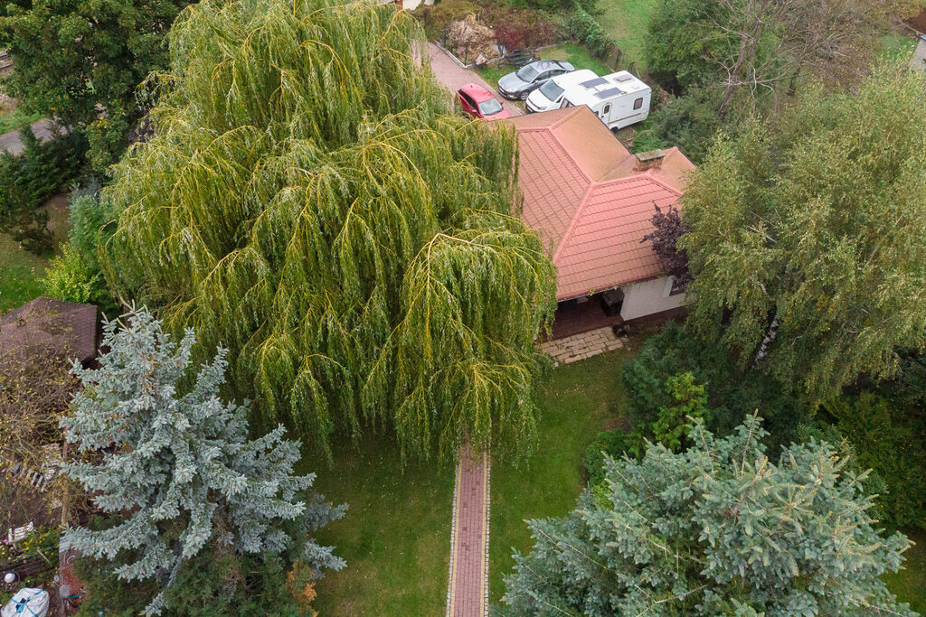 Dom z niezależnym biurem – dwie KW, Płock