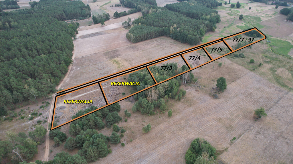 Działki rolne 3000 m²  w Olszewce w gm. Lelis