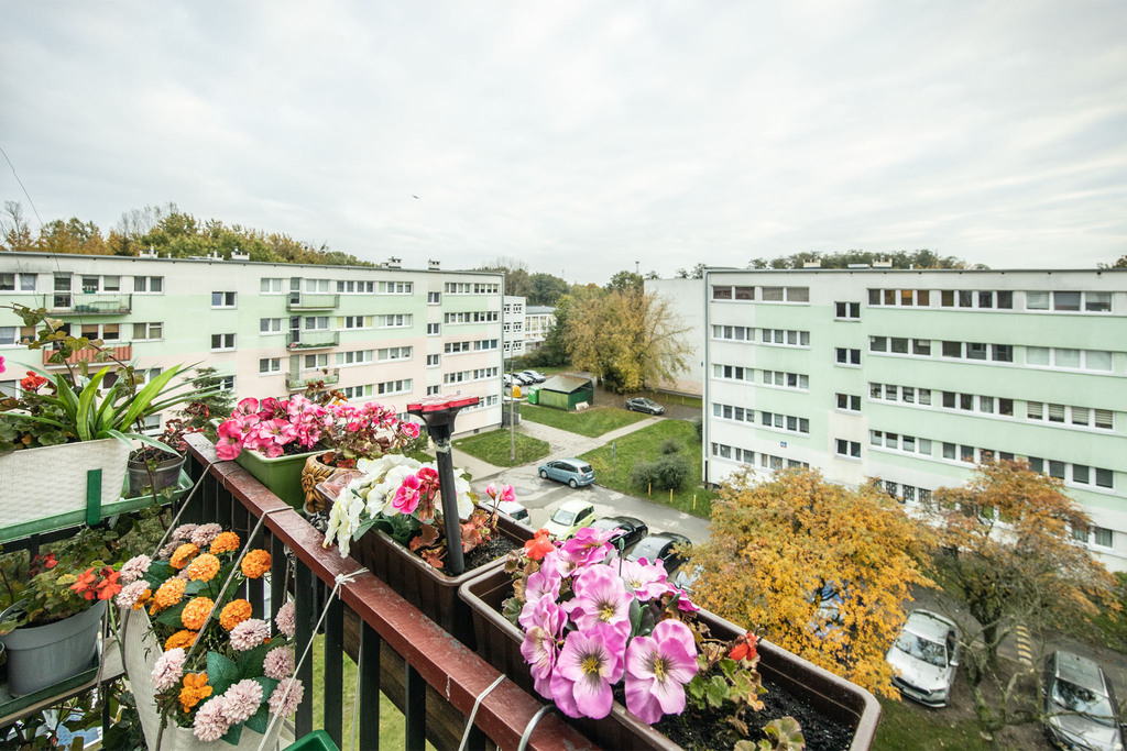 45 m² ciszy i możliwości – zamieszkaj po swojemu