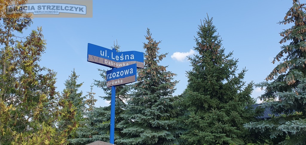 Działka budowlana z furtką do lasu! 1500m2