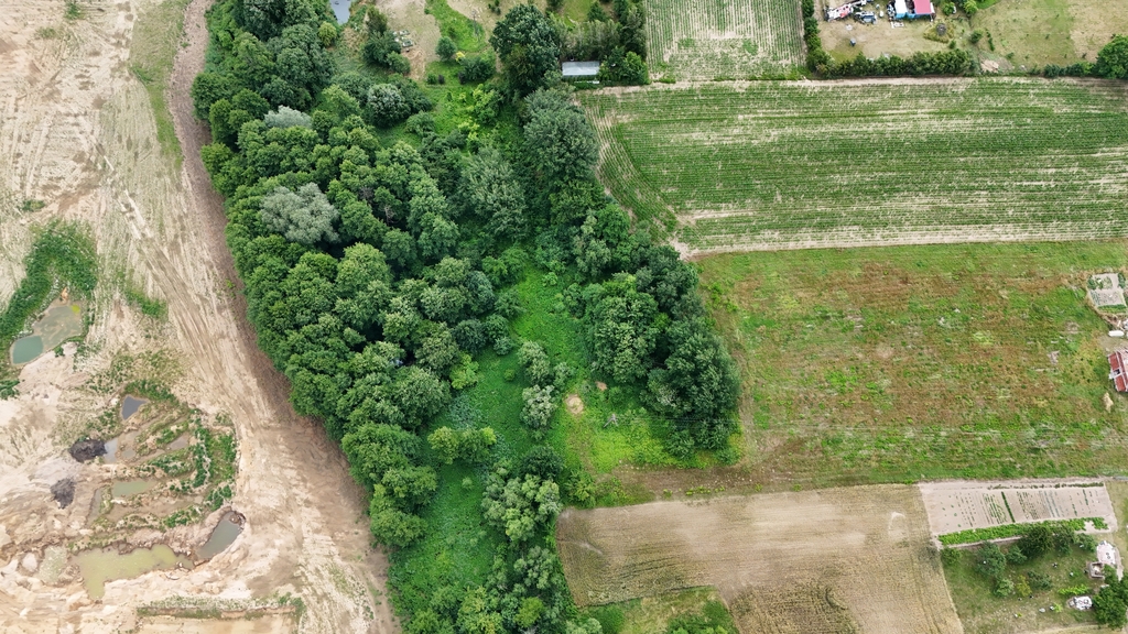 Dobra gm. Dobroszyce. Działka budowlana z lasem