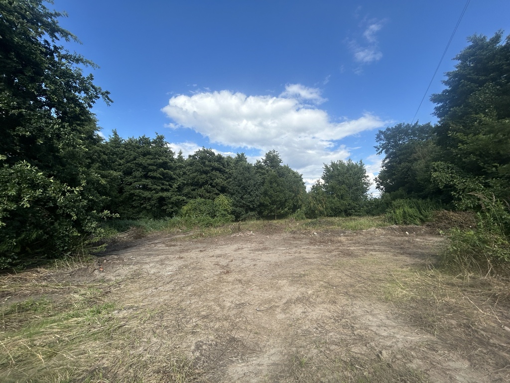 Dobra gm. Dobroszyce. Działka budowlana z lasem