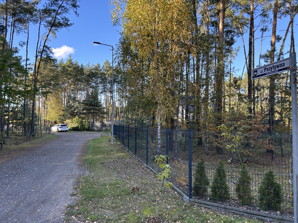 Piękne, leśne działki z MPZP - woda, prąd, asfalt!