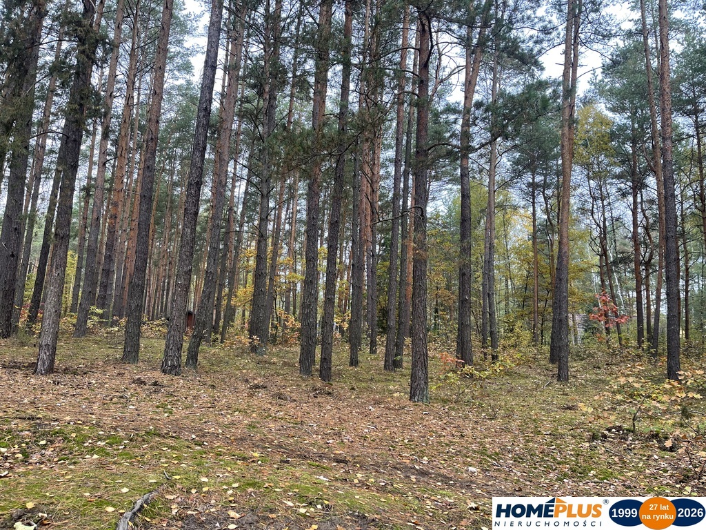 Zbuduj dom w lesie – działka 1850 m².