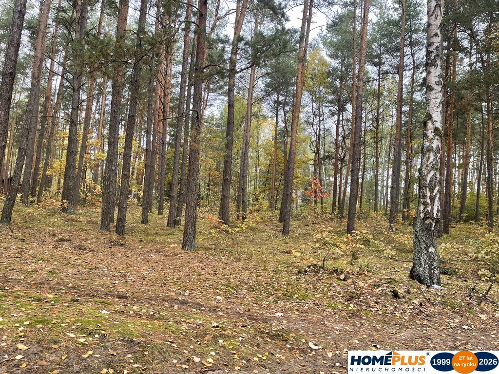 Zbuduj dom w lesie – działka 1850 m².