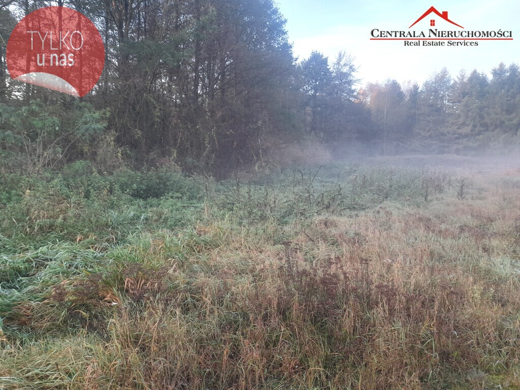 Działka w Wielkiej Nieszawce - okazja