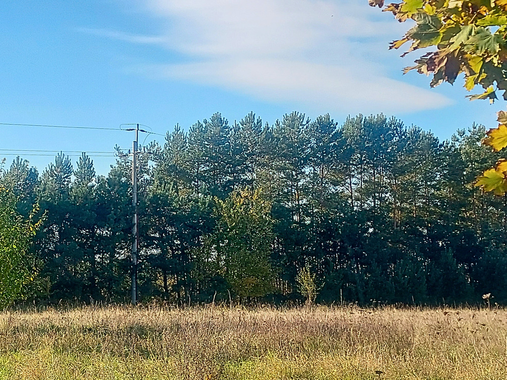 Działka budowlana MPZP | Sierosław | 1584 m2