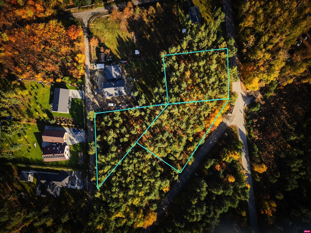 Piękne, leśne działki z MPZP - woda, prąd, asfalt!