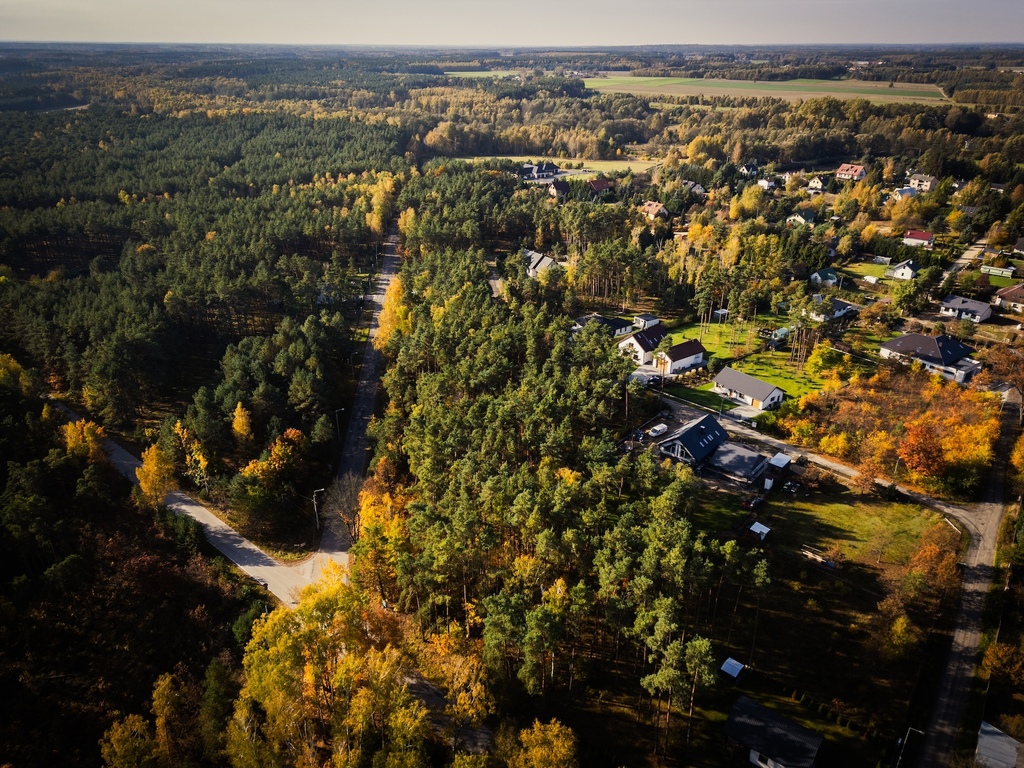 Piękne, leśne działki z MPZP - woda, prąd, asfalt!